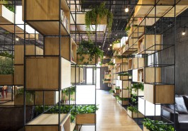 Penda - Vorbild Magazine